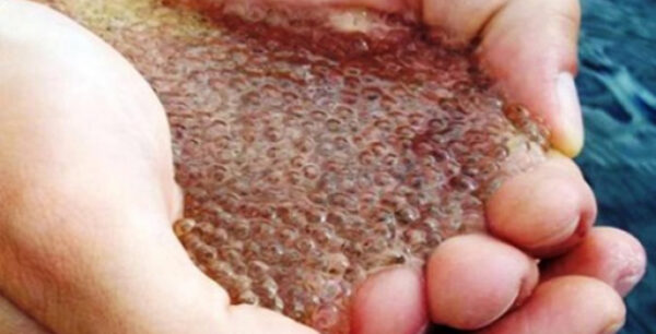 ΟΗΕ: Πάνω από 300 εκ. άνθρωποι κινδυνεύουν από τη ρύπανση των υδάτων