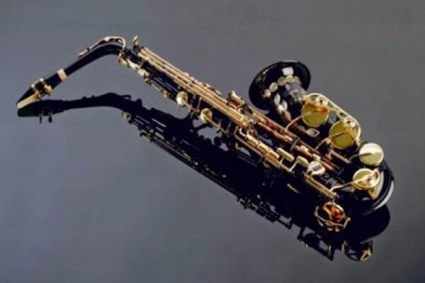 ΔΩΡΕΑ ΜΟΥΣΙΚΩΝ ΟΡΓΑΝΩΝ ΣΤΑ ΜΟΥΣΙΚΑ ΣΧΟΛΕΙΑ ΤΗΣ ΧΩΡΑΣ ΑΠΟ ΤΟ ΙΔΡΥΜΑ “ΣΤΑΥΡΟΣ ΝΙΑΡΧΟΣ”