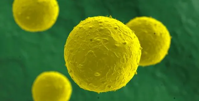 Σύγχρονες θεραπευτικές μέθοδοι καταρρίπτουν τους μύθους για τον καρκίνο του παγκρέατος