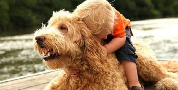 Παιδιά και κατοικίδια. Τρόποι μα μειωθεί ο κίνδυνος μετάδοσης νοσημάτων.