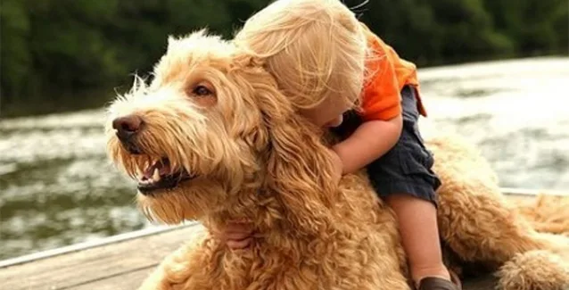 Παγκόσμια Ημέρα των Ζώων: Οι  διεθνώς αναγνωρισμένες ελευθερίες τους