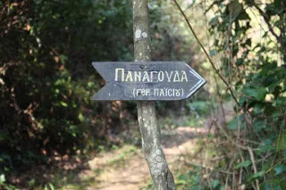 Πρωτοπρ. Διονύσιος Τάτσης, Ἡ ποικιλία τῶν χαρισμάτων