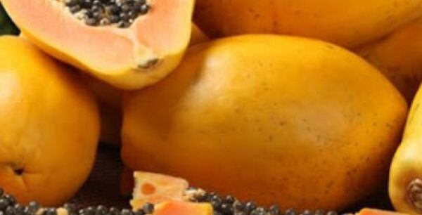 5 + 4 λόγοι για να βάλεις στη ζωή σου την παπάγια