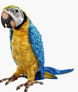 Εξυπνο :  Ο παπαγάλος