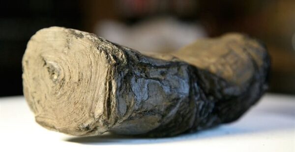 Αποκρυπτογράφησαν ελληνικούς παπύρους καμένους από την έκρηξη του Βεζούβιου