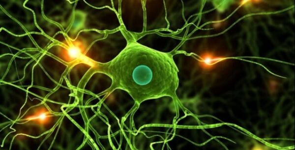 Παγκόσμια πρώτη για εξέταση αίματος που ανιχνεύει το Πάρκινσον