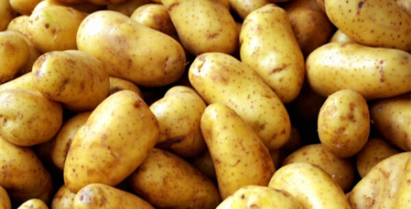 Πατάτες κατά της παχυσαρκίας