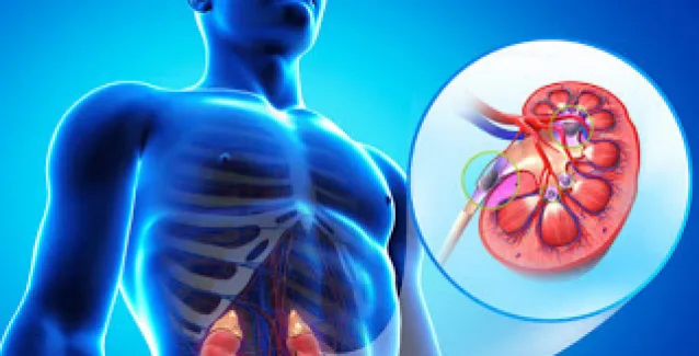 Πέτρες στα νεφρά: Όλα όσα πρέπει να ξέρετε!