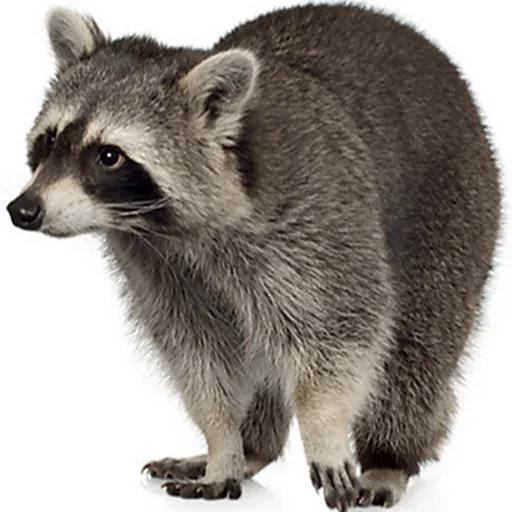 Προσεγγίζοντας διαθεματικά την ενότητα ΠΑΣΧΑ στο Νηπιαγωγείο