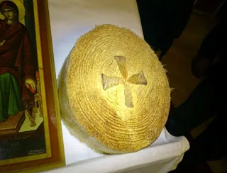 Κόψανε δέντρο και βρήκανε μέσα σχηματισμένο σταυρό!