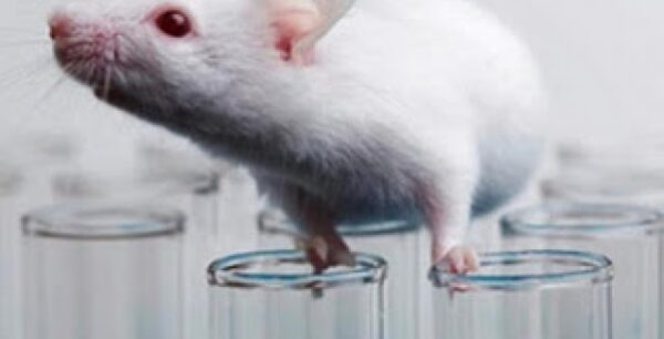 Εκπληκτικό: Ρώσοι επιστήμονες μεταμόσχευσαν τον πρώτο 3D εκτυπωμένο θυρεοειδή σε ποντίκι