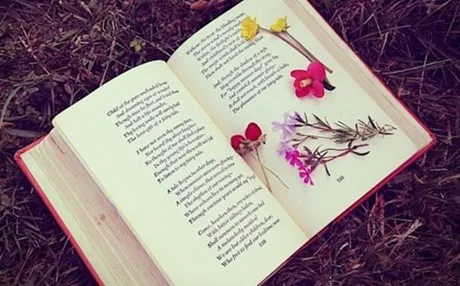 21η Μαρτίου: Παγκόσμια Ημέρα Ποίησης – Εκδηλώσεις