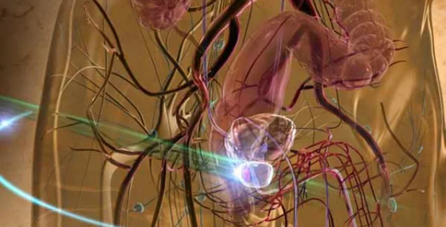 Καρκίνος του προστάτη: Αυτά τα φρούτα και λαχανικά σηκώνουν ασπίδα