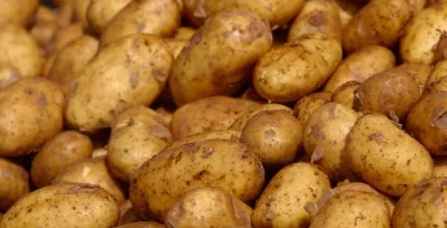 Κύκλωμα πουλούσε γαλλικές πατάτες αφού τις «βάφτιζε» ελληνικές