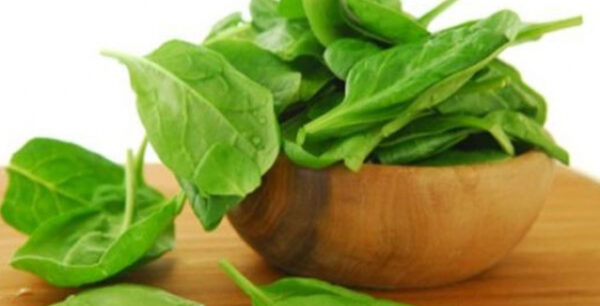 Το σπανάκι προστατεύει από τον καρκίνο του εντέρου