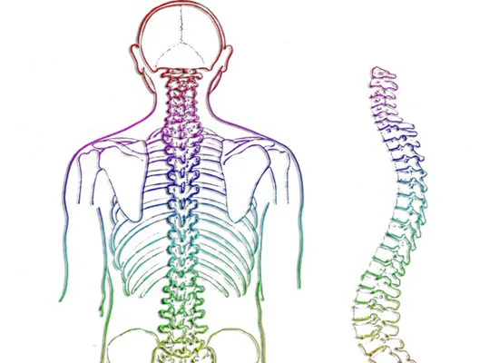 Ημερίδα για τους εθελοντές δότες μυελού οστών