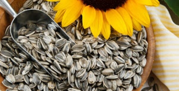 5 σπόροι που πρέπει να προσθέσετε στη διατροφή σας