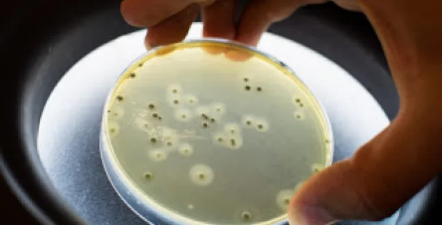 Σταφυλόκοκκος: Έτσι είναι τα σημάδια που αφήνει στο δέρμα – Ποιοι κινδυνεύουν