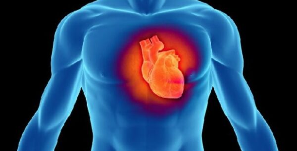 Ποια τρόφιμα μειώνουν τον καρδιαγγειακό κίνδυνο