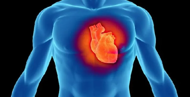 Σπουδαία ανακάλυψη:Η ουσία, που διατηρεί νέα την καρδιά