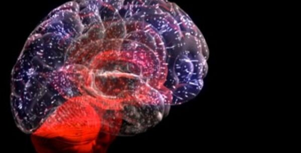 Αναγεννήθηκε φλοιονωτιαία νευρική βλάβη, μέσω βλαστοκυττάρων