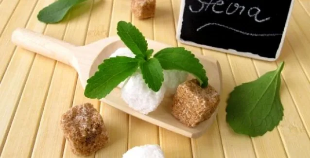 Στέβια: Γιατί πρέπει να την προτιμούμε;