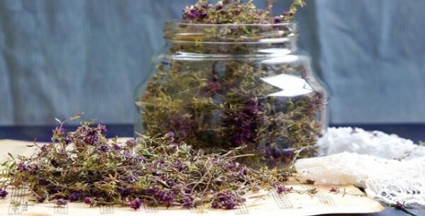 Θυμάρι της γιαγιάς μας για ευαίσθητα ούλα και δόντια