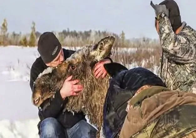 Διασώσεις ζώων σε ένα video που συγκίνησε εκατομμύρια ανθρώπους [video]
