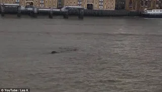 Μετά το “τέρας του Λοχ Νες” οι Βρετανοί έχουν το…. “τέρας του Τάμεση” [video]