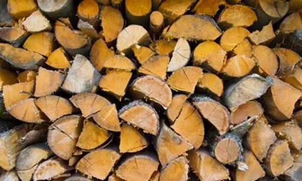 Αυτό είναι το ΚΟΛΠΟ για να ΜΗΝ καταναλώνει το τζάκι σας πολλά ΞΥΛΑ!