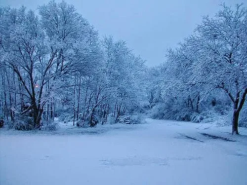 Ο Φλεβάρης αν θυμώσει, μες στο χιόνι θα μας χώσει – Δείτε την πρόγνωση του καιρού μέχρι την Κυριακή
