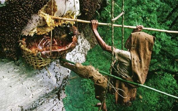 Αυτά είναι τα πιο περίεργα επαγγέλματα, που σίγουρα δεν έχεις ξανακούσει [photos]