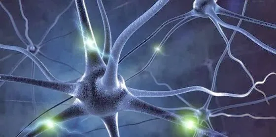 Δείτε πώς σχηματίζεται μια ανάμνηση στον εγκέφαλο [video]