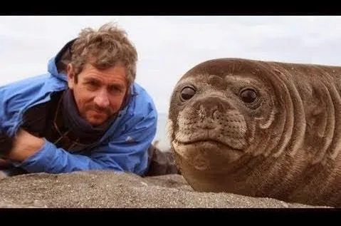 Ένας άντρας κάθεται πολύ κοντά σε μια φώκια και μετά έγινε το απίστευτο [video]