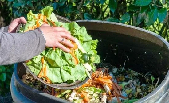 Η σπατάλη τροφίμων εξελίσσεται σε σοβαρό περιβαλλοντικό πρόβλημα