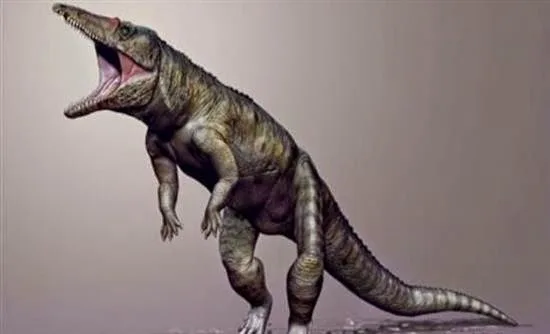 Στεριανός κροκόδειλος περπατούσε στα δύο πόδια