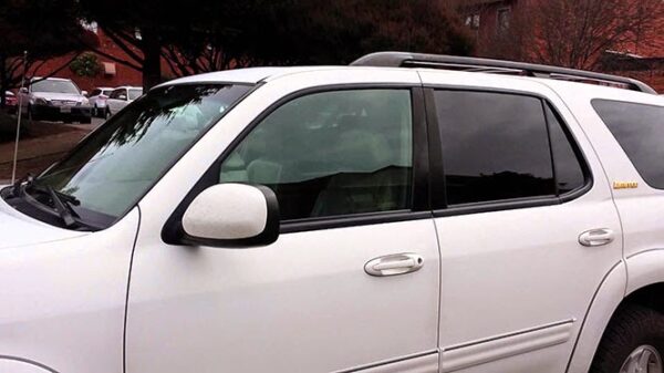 Τι συμβαίνει όταν αφήνεις έναν ανυπόμονο σκύλο μόνο του στο αυτοκίνητο [Video]