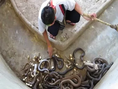 Εσύ θα έκανες αυτό το επάγγελμα;