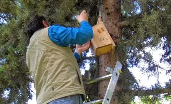 Αριστοτέλειο: Τεχνητές φωλιές για τα πουλιά της πανεπιστημιούπολης