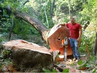 9 από τις δυσκολότερες δουλειές του κόσμου!