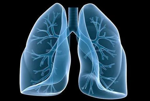 Καπνίζεις; Μάθε τι πρέπει να τρως για να καθαρίζεις τους πνεύμονές σου!