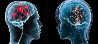 Για αυτό διαφέρουν τόσο άνδρες και γυναίκες – Τι αποκαλύπτει η «χαρτογράφηση» του εγκεφάλου τους