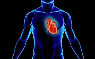 Παράξενες πληροφορίες για το ανθρώπινο σώμα