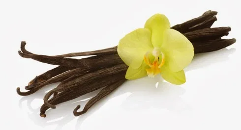 Κάντε το σπίτι σας να μοσχοβολάει!