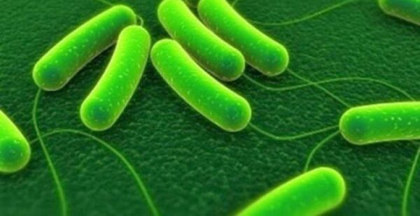 Τι είναι αυτό που τρέμουν όλα τα μικρόβια;