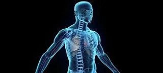 Τί είναι αυτό που δεν ξέραμε για το σώμα μας μέχρι τώρα;