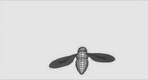 Η απίστευτη ταχύτητα των μυγών [video]