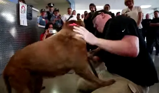 Το βίντεο που έχει συγκινήσει όλο το διαδίκτυο: Στρατιώτης ξαναβρίσκει τον σκύλο του! [video]