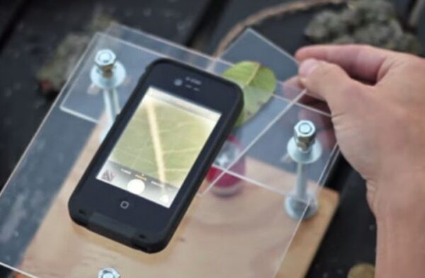 Πώς να μετατρέψετε το smartphone σας σε μικροσκόπιο! [Video]