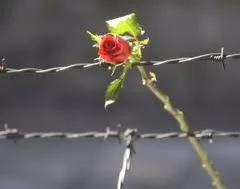 Πατέρα εσύ με σκότωσες!